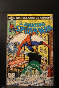 The Amazing Spider-Man #212 Direct Edition (1981)