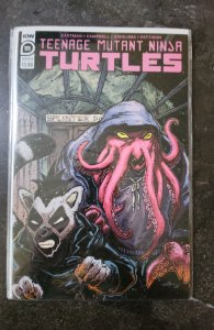 Teenage Mutant Ninja Turtles #111 Cover B (2020)