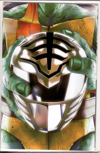 Mighty Morphin Power Rangers/Teenage Mutant Ninja Turtles #3 Cover D (2020)