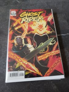 Ghost Rider #5 Variant Marvel