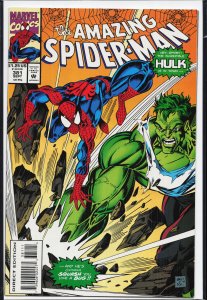 The Amazing Spider-Man #381 (1993) Spider-Man