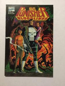 The Punisher Bloodlines 1 Near Mint