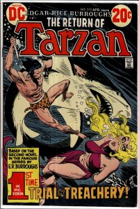 Edgar Rice Burroughs' Tarzan #219 (1973)