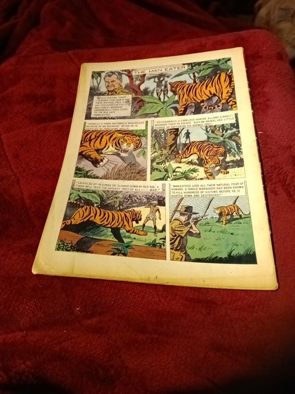 Lowell Thomas High Adventure Four-Color 949 1958 Silver Age Jungle Comics Safari