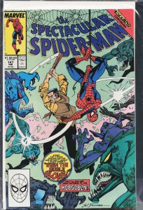 The Spectacular Spider-Man #147 (1989) Spider-Man