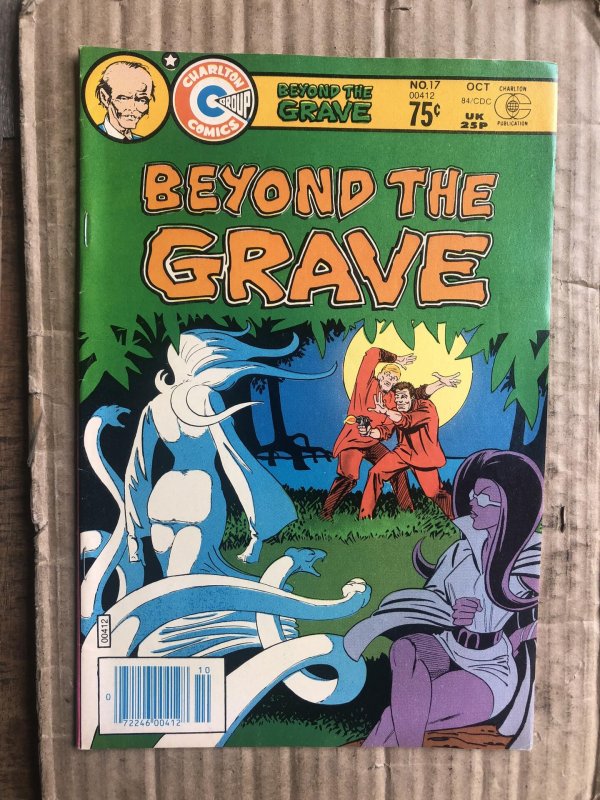 Beyond the Grave #17 (1984)