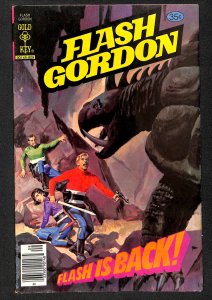 Flash Gordon #19 (1978)