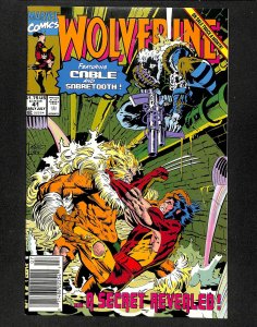 Wolverine (1988) #41 Newsstand Variant