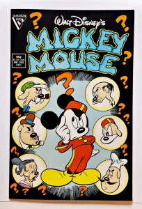 Mickey Mouse (Walt Disneys) #253 (Dec 1989, Gladstone) 7.0 FN/VF