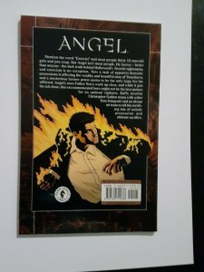 Angel: Earthly Possessions 1st printing. Christopher Golden and Tom Sniegoski.