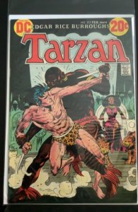 Tarzan #217 (1973)