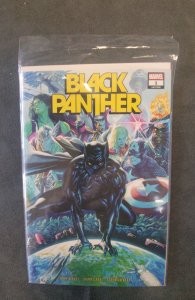 Black Panther by John Ridley: The Long Shadow (2022)