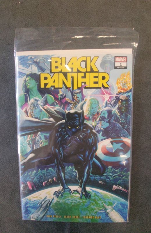 Black Panther by John Ridley: The Long Shadow (2022)