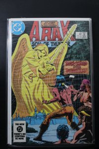 Arak, Son of Thunder #35 (1984)