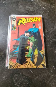 Robin #1 (1991)
