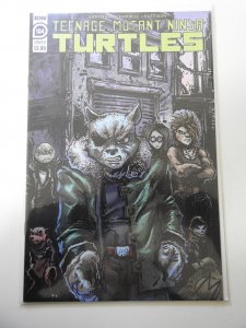 Teenage Mutant Ninja Turtles #104 Cover B