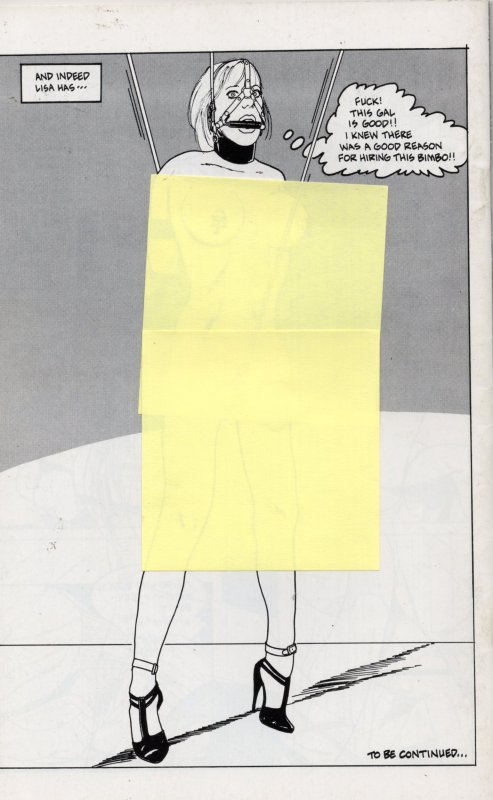 Pleasure Bound #6 (2000)Adult Eros Comix Grade VG+ 4.5