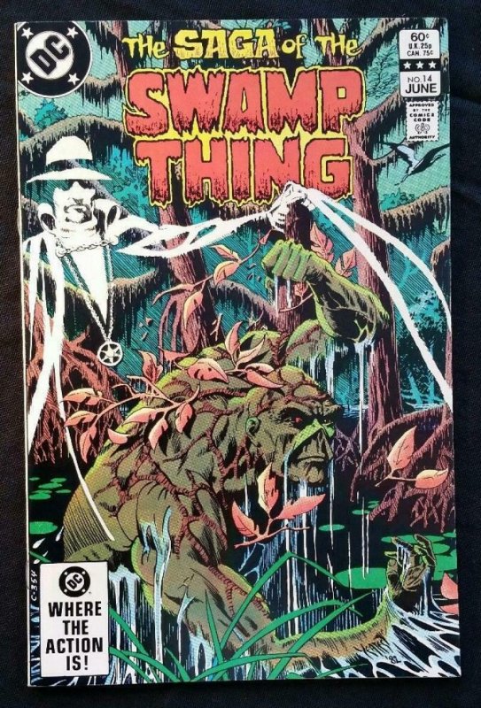 SAGA OF THE SWAMP THING #14, VF/NM, Tom Yeates, DC 1982 1983  more DC in store