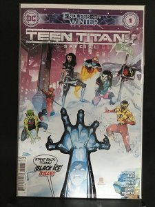 Teen Titans: Endless Winter Special (2021)