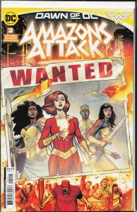 Amazons Attack #2 (2024) Amazons