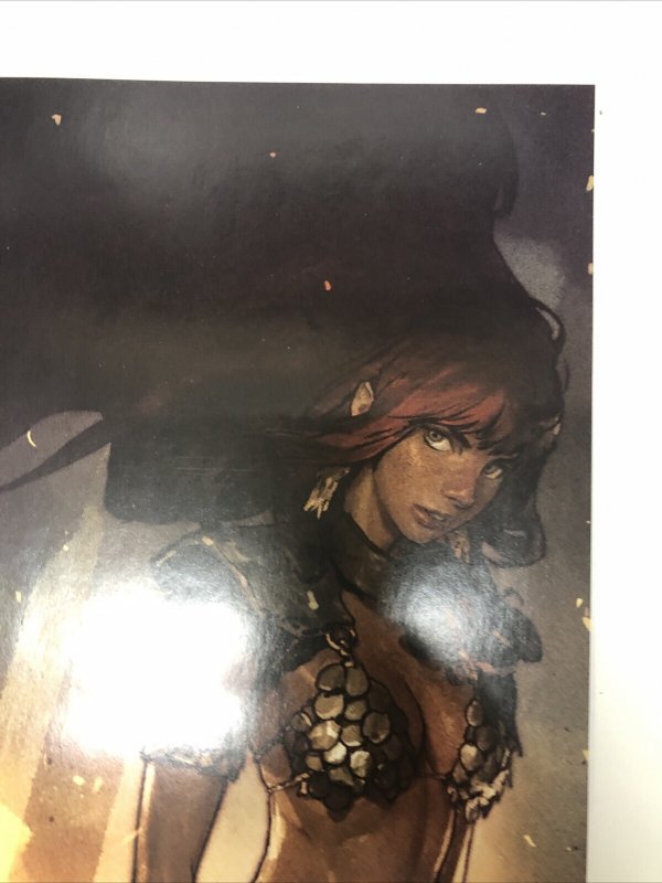 Red Sonja : Birth Of The She-Devil # 1 Variant (NM) Dynamite Entertainment