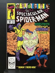 The Spectacular Spider-Man #162 Direct Edition (1990)