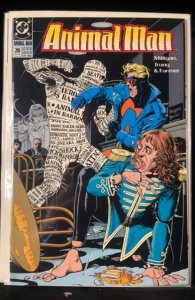 Animal Man #28 (1990)