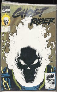Ghost Rider #15 Second Print Cover (1991) Ghost Rider