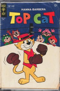 Top Cat #14 (1965) Top Cat