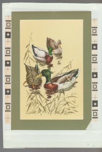 WARMEST WISHES Painted Ducks in Pond 7x10 Greeting Card Art #B8845