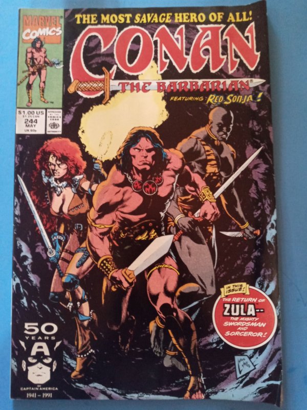 Conan the Barbarian #244 (1991) FN+/-