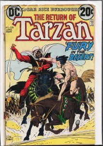 Edgar Rice Burroughs' Tarzan #220 (1973)