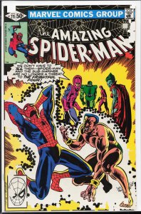 The Amazing Spider-Man #215 (1981) Spider-Man