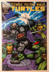 Teenage Mutant Ninja Turtles #44 (9.4, 2015) Cover B