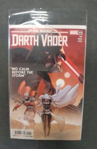 Star Wars: Darth Vader #25 (2022)