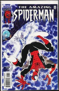 The Amazing Spider-Man #17 (2000) Spider-Man