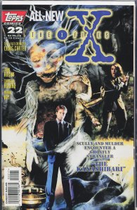 The X-Files #22 (1996) The X-Files