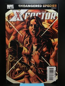 X-Factor #19 (2008)