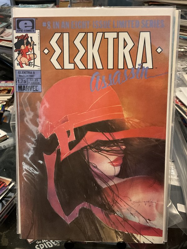 Elektra: Assassin #8 (1987)