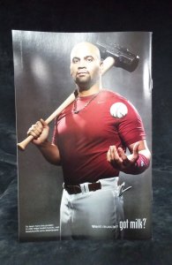 Red Robin #14 (2010)