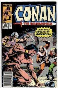 Conan the Barbarian #225 (1989) Conan