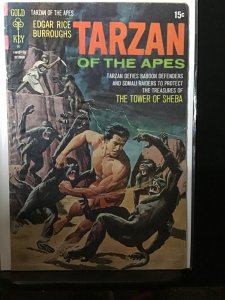 Edgar Rice Burroughs' Tarzan #204 (1971)