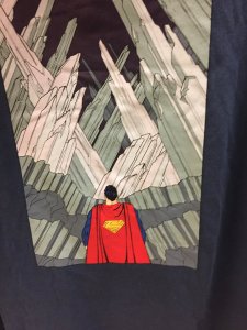 Superman Fortress of Solitude Hoodie 2XL