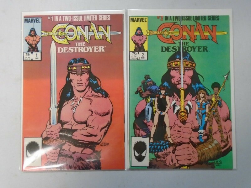 Conan the Destroyer set #1+2 DIR starring Arnold Schwarzenegger 8.0 VF (1985)
