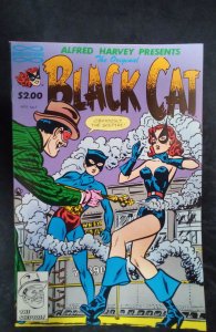 The Original Black Cat #7 (1991)