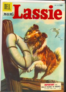 Lassie #24