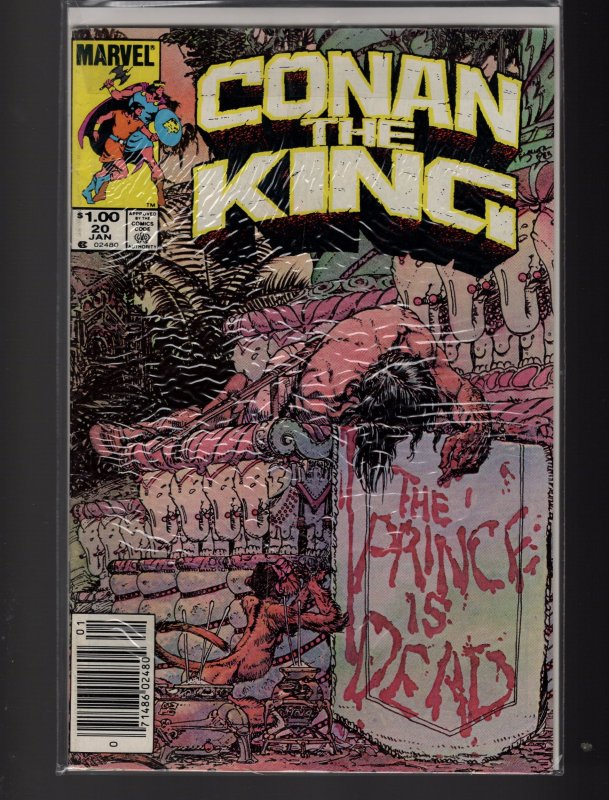 King Conan / Conan the King #19,20,21,22,23,24 (1983)