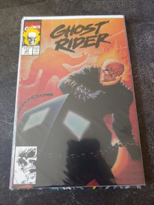 Ghost Rider #13 Direct Edition (1991)