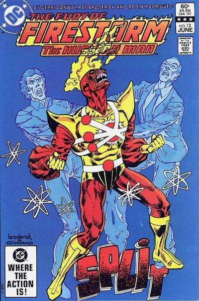 Fury of Firestorm (1982 series) #13, NM- (Stock photo)