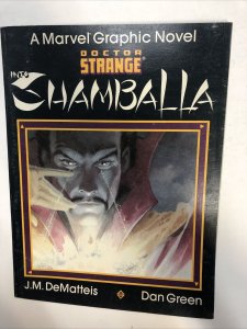 Marvel Graphic Novel (1986) Doctor Strange Into Shamballa Dan Green
